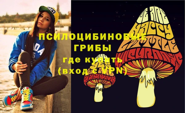 ГАЛЛЮЦИНОГЕННЫЕ ГРИБЫ Михайловск
