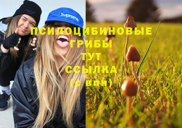 ГАЛЛЮЦИНОГЕННЫЕ ГРИБЫ Михайловск