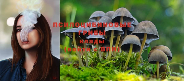 экстази Михайловка