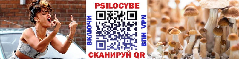 Купить  Алзамай  Псилоцибиновые грибы мицелий 