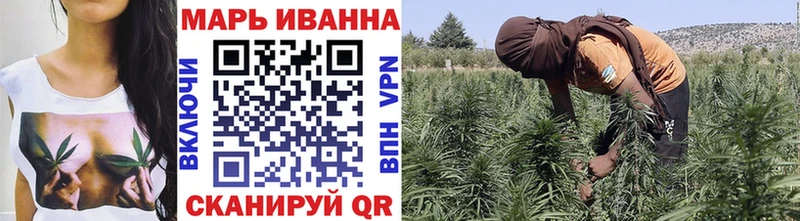 Купить закладки  Алзамай  Шишки марихуана SATIVA & INDICA 